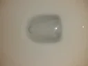bottom of toilet bowl.webp
