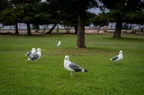 L1003079.webp