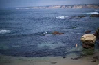 L1003117.webp