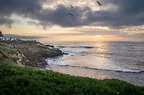 L1003331.webp