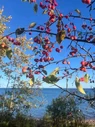 IMG_20251001_045227.webp