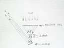 101_1978.webp