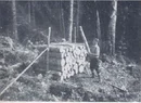 stacking-pulpwood.webp