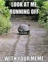 running off with your meme.webp