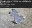 Screenshot 2025-10-15 at 7.50.52 AM.webp