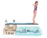 DivingBoard.jpg
