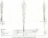 14 background scale.jpg