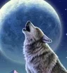 howling wolf small.webp