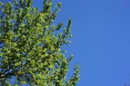 DSC_5337.webp