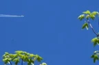 Untitled.webp