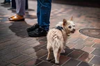 L1003044.webp
