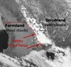 RabbitFenceCloud.webp