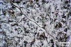 DSC_2893.webp