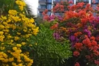 IMG_20260425_121022.webp