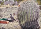 1777316779642.webp
