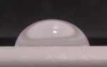 螢幕擷取畫面 2026-04-26 173332.webp