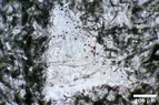 DSC_2953.webp