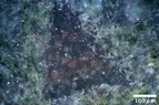 DSC_2955.webp