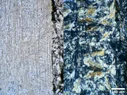 Montage4.webp