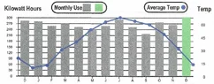 Electric bill.webp