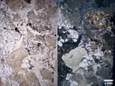 Montage4.webp