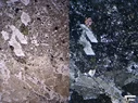 Montage5.webp