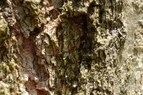 Untitled.webp