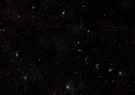 Untitled.webp