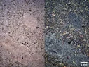 Montage.webp