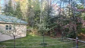 Cherry and Crabapple.webp