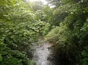 IMG_20260523_103723_895~2.webp