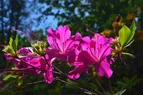 DSC_5704.webp