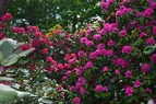 DSC_5736.webp