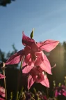 DSC_5851.webp