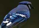 DSC_8394.webp