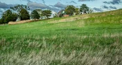 L1003915.webp