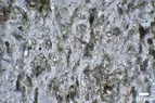DSC_7779.webp