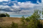 L1004294.webp
