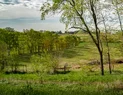 L1004312.webp