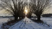 IMG_20260105_141237.webp
