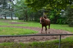 DSC_5909.webp