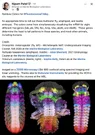 Screenshot 2026-06-05 at 8.57.05 AM.webp