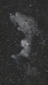 Witch Head Nebula.webp