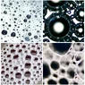 9b35e72b-449b-4b97-84b4-786c8a8fd67a-1_all_37770.webp