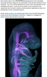 Screenshot 2026-06-29 at 9.31.58 AM.webp