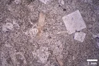 DSC_5045.webp