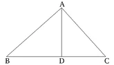 1784215437206.webp
