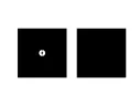 Figure_1.webp