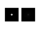 Figure_3.webp