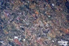 DSC_7802.webp